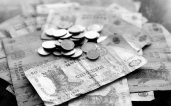 leul-moldovenesc--tot-mai-ieftin